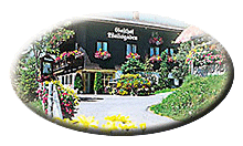 Hotel Walisgaden Resort & monti Suites Hotel Walisgaden Resort & monti Suites