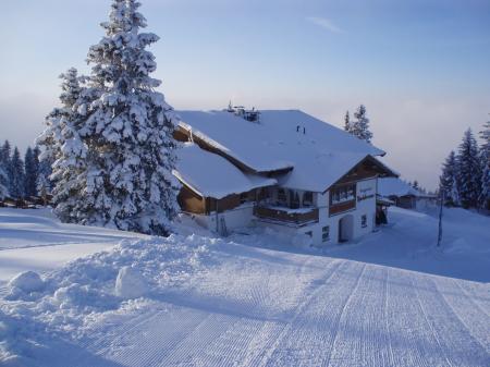 Hochbrunn Alm Kitzbühel Hochbrunn Alm Kitzbühel