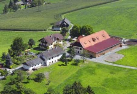 Bauernhof Prefelnighof - Ferienwohnungen und Camping am Bauernhof Bauernhof Prefelnighof - Ferienwohnungen und Camping am Bauernhof