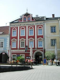 Schwarzer Adler