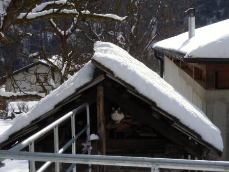 Bauernhof Haus Taurer_winter Bauernhof Haus Taurer_winter