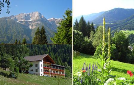 Gasthof / Restaurant Alpenhotel Strenge_winter Gasthof / Restaurant Alpenhotel Strenge_winter