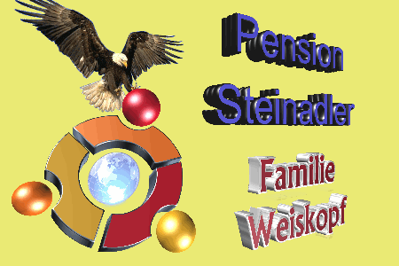 Restaurant Steinadler_winter