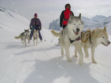 Travel agency Husky-Zermatt_winter
