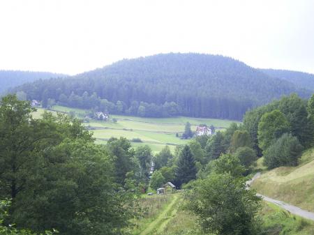 Tonbachtal_winter