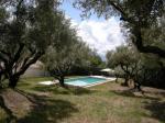 Le clos des oliviers