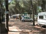 Camping Cammello Grigio