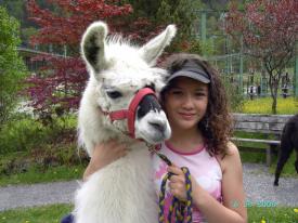 Fun & Trekking Sport   Zell am See-Kaprun Fun & Trekking Sport   Zell am See-Kaprun