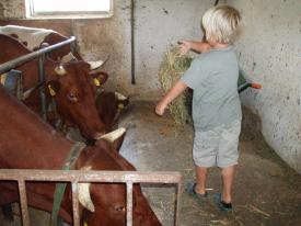 Fun & Trekking Sport   Zell am See-Kaprun Zell am See