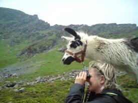 Fun & Trekking Sport   Zell am See-Kaprun Zell am See-Kaprun, Nationalpark Hohe Tauern, Zell am See-Kaprun, Sportanbieter