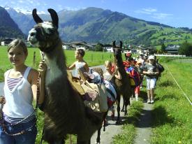 Fun & Trekking Sport   Zell am See-Kaprun Sigmund Thun Straße 18