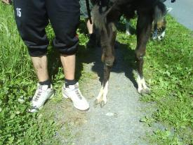 Fun & Trekking Sport   Zell am See-Kaprun Zell am See