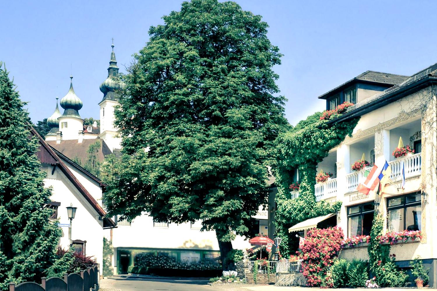 12-3776.jpg