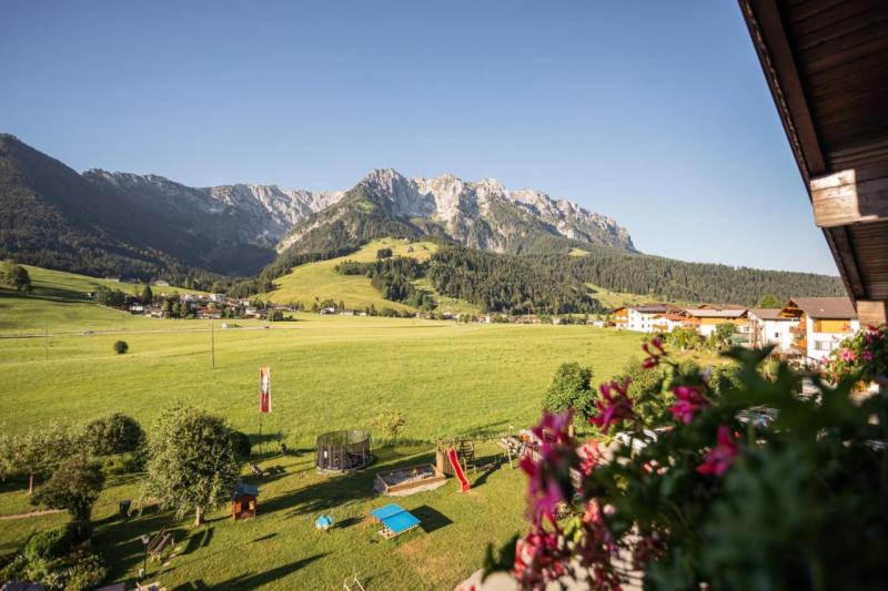 d4.jpg