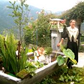 LINOUSA ALLOGGI VACANZE Italien