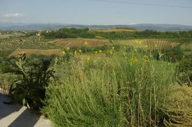 Agriturismo = Urlaub am Land Toscana