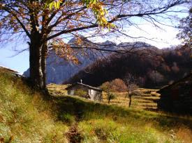 AGRITURISMO IL PARADISO - BIO, AGRITURISMI IN VERSILIA Mare della Versilia e Parco delle Alpi Apuane