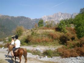 AGRITURISMO IL PARADISO - BIO, AGRITURISMI IN VERSILIA AGRITURISMO IL PARADISO - BIO, AGRITURISMI IN VERSILIA