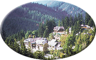 Hotel Waldheimathof Bruggraber Hotel Waldheimathof Bruggraber