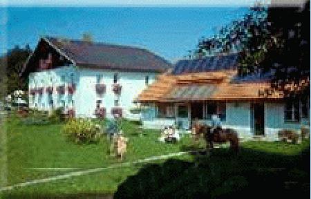 Ferienhof Woadhof Fam Kainberger