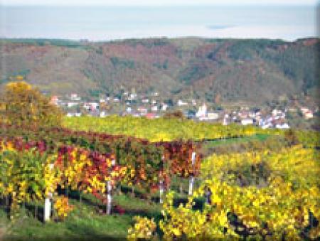 Winzerhof Hager Matthias