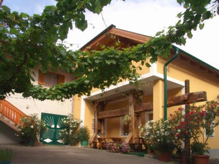 Bioweingut Jakob