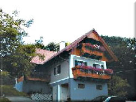 Bauernhof Weingut- Bauernhof- Ferienhaus Steiner Bauernhof Weingut- Bauernhof- Ferienhaus Steiner