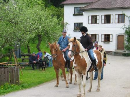 Offerte per lo sport Ferienhof Hochgattern Offerte per lo sport Ferienhof Hochgattern