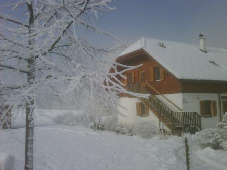 Seehaus Libelle