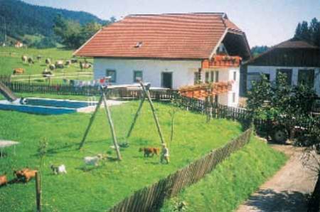 Hutzehof