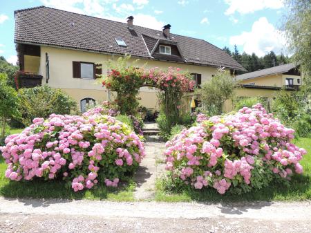 Bauernhof PONYHOF NACHBAR Bauernhof PONYHOF NACHBAR
