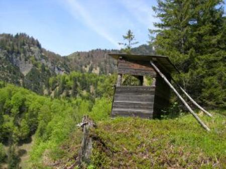 Bauernhof Bergerhäusl Familie Schwaiger - Ferien auf dem Bauernhof - Hotel Garni Bauernhof Bergerhäusl Familie Schwaiger - Ferien auf dem Bauernhof - Hotel Garni
