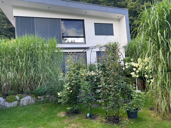 Appartement Ferienwohnung Haus Waldrand Appartement Ferienwohnung Haus Waldrand