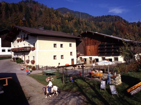 Appartement Ferienwohnung Palfnerhof Appartement Ferienwohnung Palfnerhof