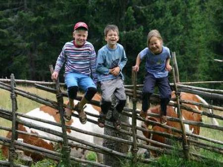 Grosshinterberger Urlaub am Bauernhof, Almhütten Kärnten, Ferienwohnungen, Wagyu Kobe Steak, FCI Zuchtstätte für Rassehunde