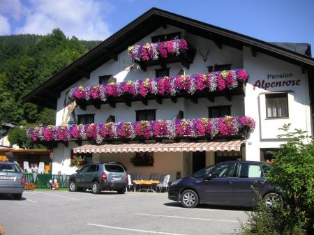 Pension Pension Alpenrose