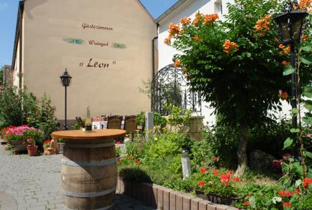 Bauernhof Weingut Tinhof Bauernhof Weingut Tinhof
