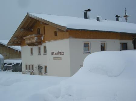 Appartement Ferienwohnung