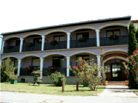 Pension Bioweinbauernhof Linde Steiner Pension Bioweinbauernhof Linde Steiner