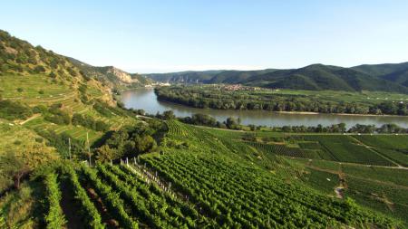 Winzerhof Supperer