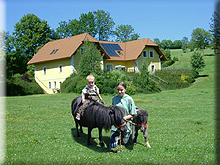 Ferienhaus Ferienchalet Miniponyhof Wild Ferienhaus Ferienchalet Miniponyhof Wild