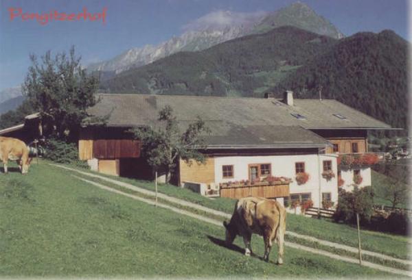 Appartement Ferienwohnung