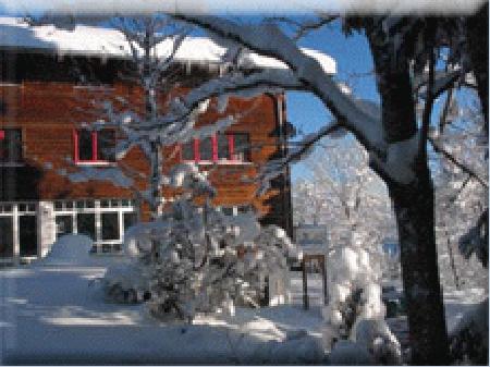 Pension Söllerhaus_winter Pension Söllerhaus_winter