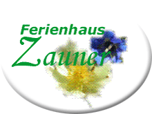 Appartement Ferienwohnung Kaunertal
