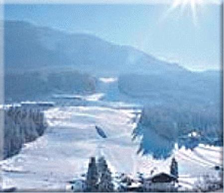 Pension Thiersee