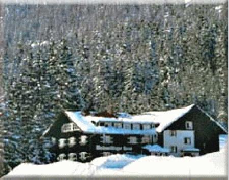 Pension Mittelberg