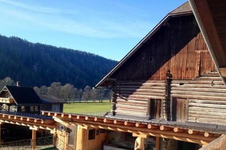 Appartement Ferienwohnung Ramsau