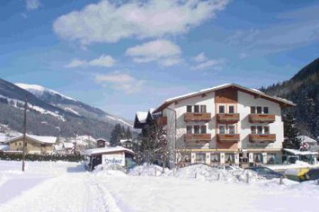 Appartement Ferienwohnung Wald im Pinzgau