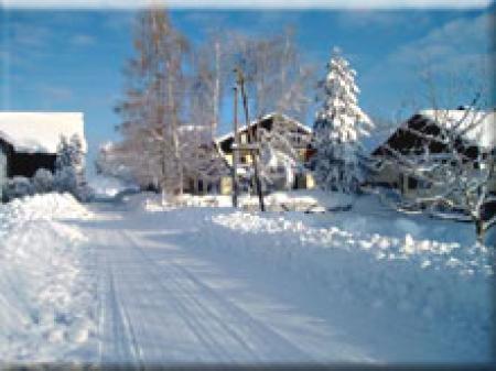 Bauernhof Urlaub am Biobauernhof & Gasthaus - Wirt in Schwand_winter Bauernhof Urlaub am Biobauernhof & Gasthaus - Wirt in Schwand_winter