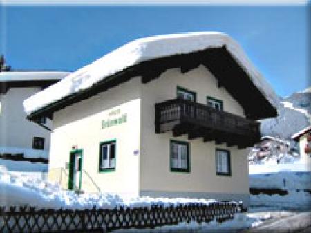 Appartement Ferienwohnung Haus Grünwald_winter Appartement Ferienwohnung Haus Grünwald_winter